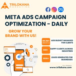 Meta ads campaign optimization daily