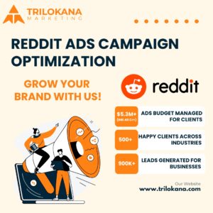 Reddit ads campaign optimization