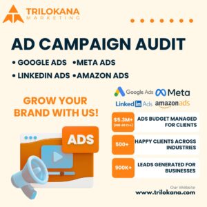 Ad campaign audit